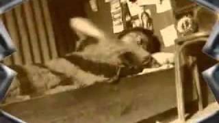 Almafuerte - El Pibe Tigre (letras)