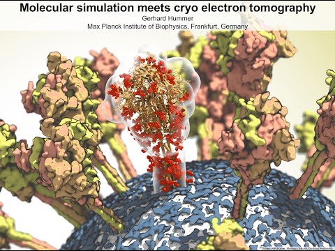 Molecular Simulation Meets Cryo Electron Tomography | Gerhard Hummer | Max Planck Institute