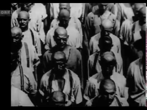 Video-Thumbnail von YouTube