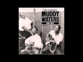Muddy Waters, Early in the morning - Edith de Ronde Muddy Waters, Early in the morning