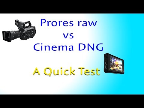 Prores Raw vs CDNG - A Quick Test