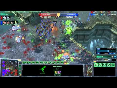 [CABBY] (Epic Drop Micro) LiquidJinro vs QIMNesTea
