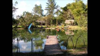 tucanes de tijuana &quot;el benefactor de colima&quot;.