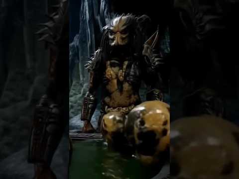 🩸 Predator Origins – The Matriarch's Trial 🩸 #predator #predatorlore #predatorbadlands #alien #avp