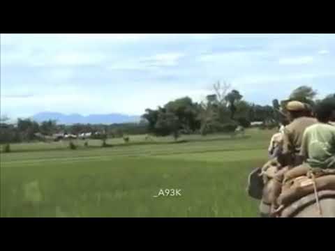 Very very funny. Dancing Pallbearers