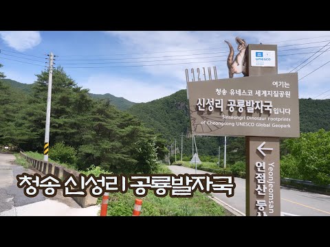 [온통청송] 청송 신성리 공룡발자국
