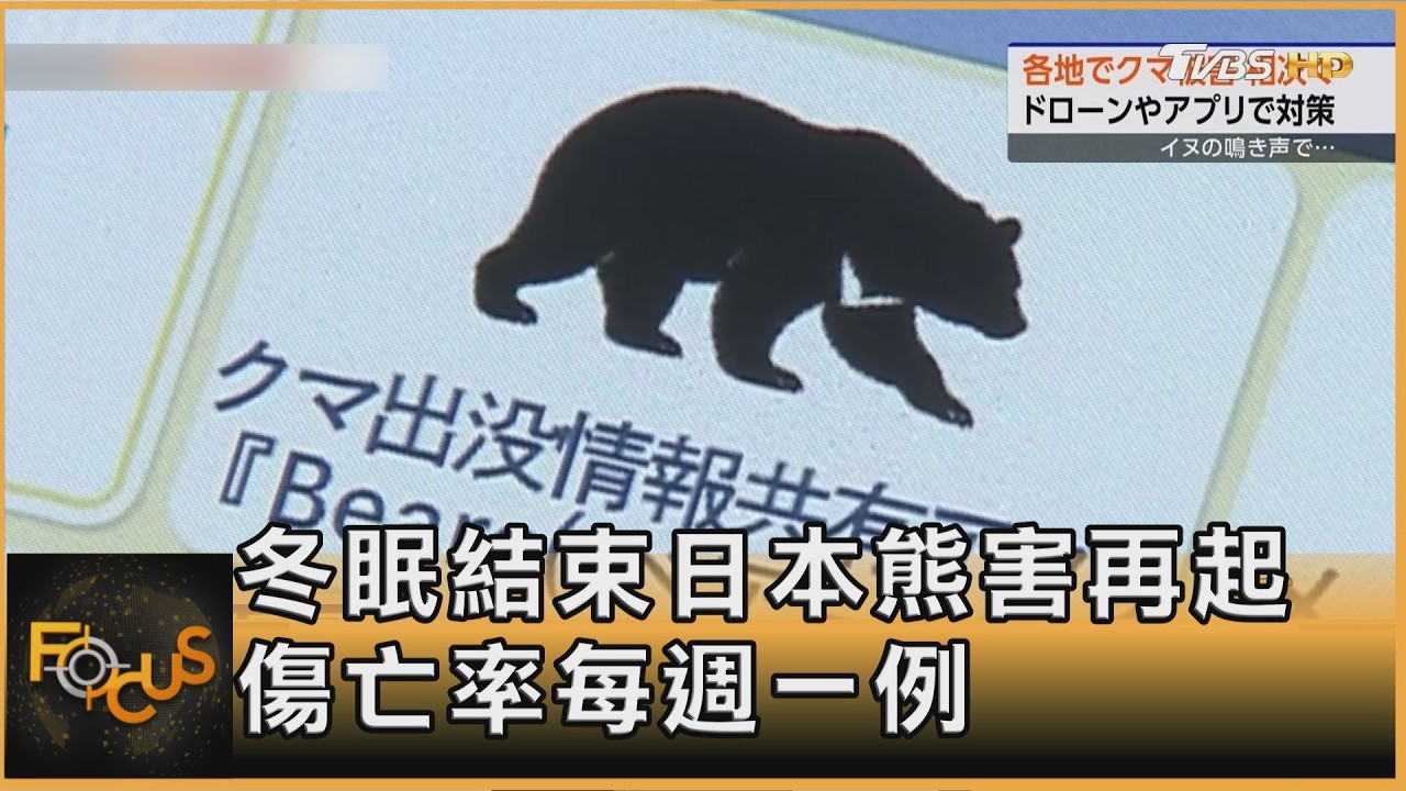 冬眠結束日本熊害再起 傷亡率每週一例