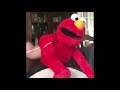 ELMO GONE WILD NEWS REPORT