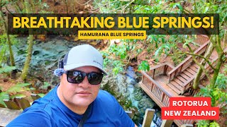 Exploring Hamurana Springs Rotorua: POV Walkthrough of New Zealand's Stunning Bl