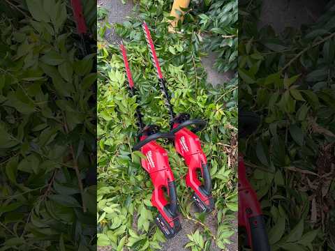 First look 👀 NEW M18 FUEL™ Hedge Trimmers - Coming soon - 24" (610 mm) & 30" (762 mm) #milwaukee