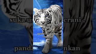 Download lagu story wa|kelahiran yang disukai khodam #shorts  #status #wa #katakata #macan #putih #macanputih mp3