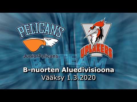 Su 1.3.2020 Pelicans B1 Team - Uplakers