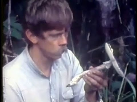Charles Brewer-Carias Venezuelan explorer and naturalist