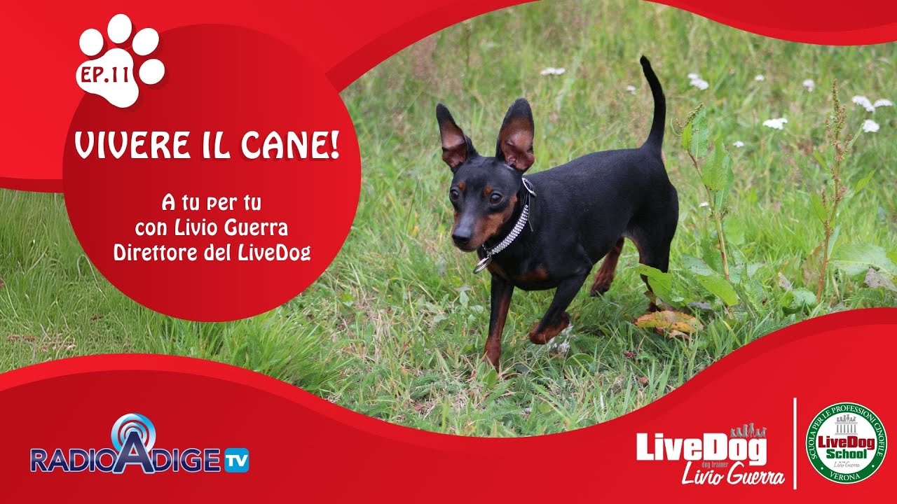 Descrizione dell'immagine