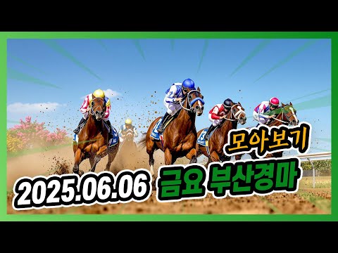 2025년 6월 6일 금요 부산경마 전체경주 모아보기