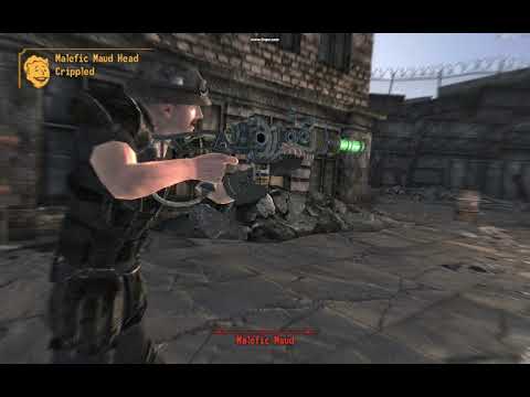 MAUD'S MUGGERS ATTACK