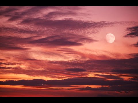 YG TY, Babii J - You Trippin(Audio) ft DTJ