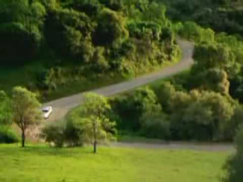 Bledi-Bjordi Aksident