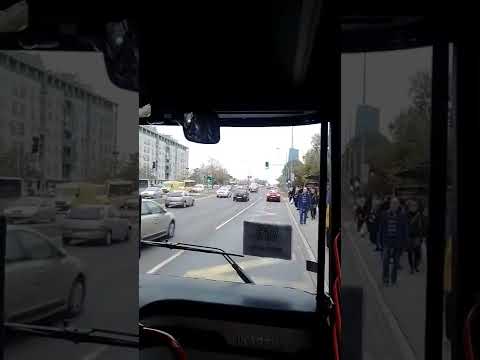 nova trasa 610 Jakov Novi Beograd paviljoni