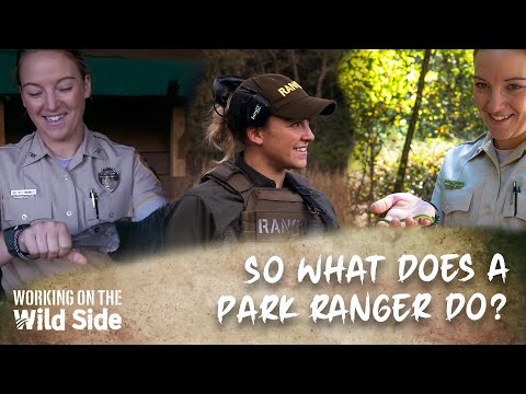 Park Ranger - Working On The Wild Side - Episode 2