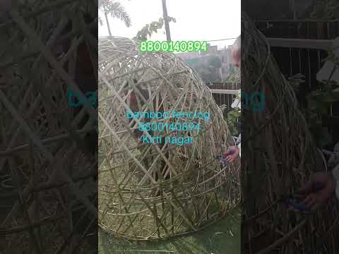 Bamboofencychick bamboofencingwindowblinds kirtinagar viralvideo viralreels