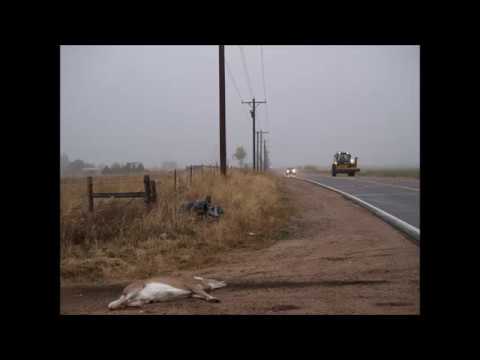 Kings Of Tomorrow feat. Julie McKnight vs. Dubfire & EDX - Roadkilly (Marco Machiavelli Bootleg)