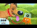 Dog Alphablocks Full Episode Learn To Read Alphablocks