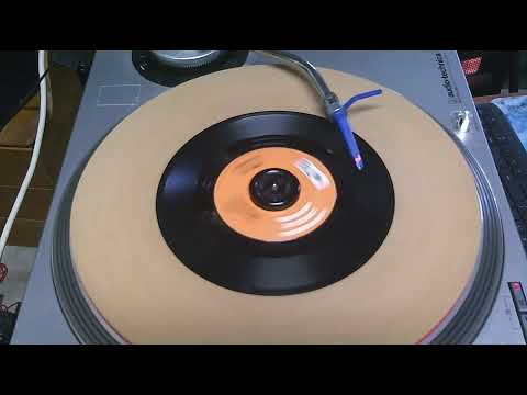 Bumble Bee l The Searchers l 1965 l Styrene