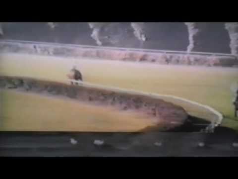 Wielka Warszawska - 7.10.1990 - Novara (Dniepr - Nadrenia)