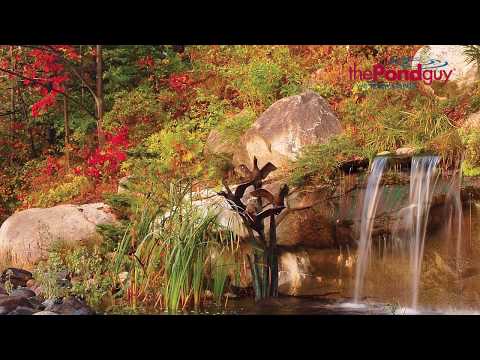 The Pond Guy® Product Video - Seasonal Defense®