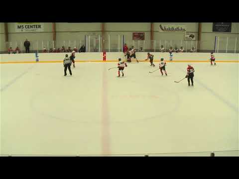 U14 280 ESMTK - Szombathelyi Pingvinek 20201219