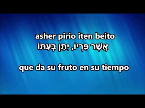 Tehilim 1  Salmo 1
