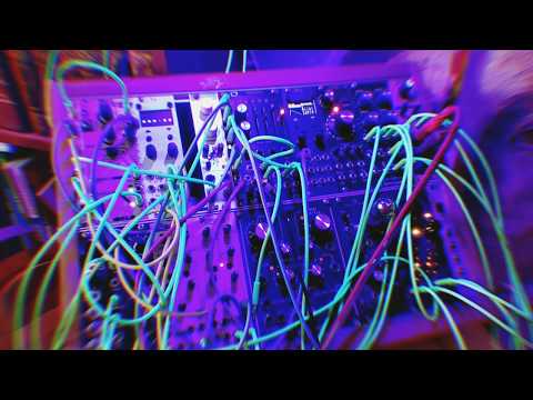 bizarre | jezabel mimosa  black / gold   Stereo  Vacuum Tube Saturator image 10
