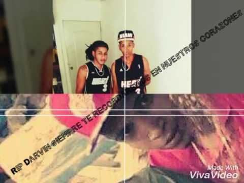 El verdadero Rip Darvin te queremos