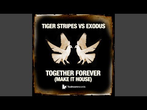 Together Forever (Make It House) (Tom De Neef Remix)