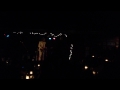Tim Rogers - Please don't ask me to smile - Brass Monkey - Cronulla - 28/03/14