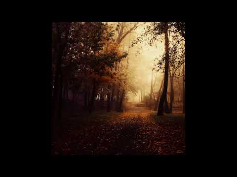 [FREE] Midwest Emo, Fats'e, 93FEETOFSMOKE Type Beat "woodsman" prod. yunny goldz