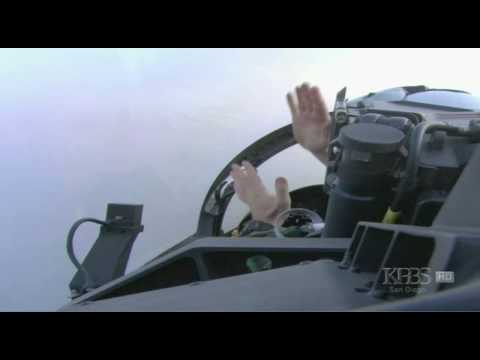 Never Imagine Myself In This Zoo (HD)