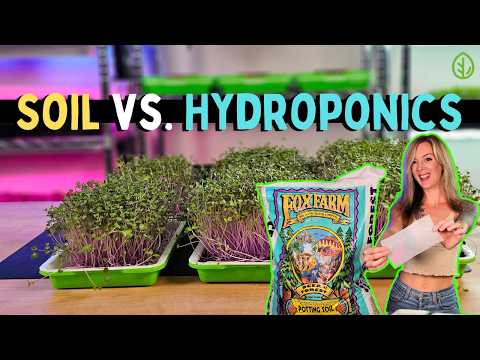 Growing Microgreens in SOIL vs. HYDROPONICS with ONLY WATER