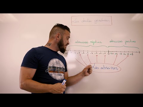 A'Rieka -  Les droites graduées - Prod : Cogway