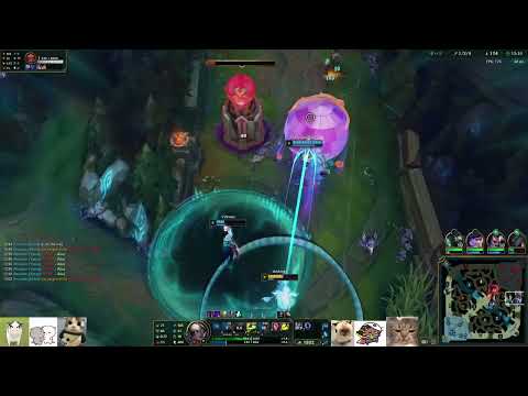 duoking1 │ Zyra vs Viktor │ 17 Dec 2024