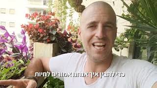חברים שתי בשורות ענקיות שאני רוצה לשתף אתכם