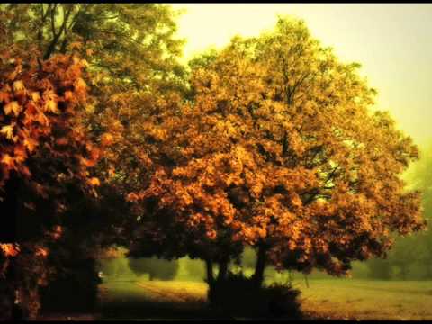 Sokolov - Rameau Nouvelles suites de pièces de clavecin en G