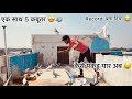 3 min मे पाँच कबूतर 😍🐦!! Try to Catch 5 Pigeon In  3️⃣ Minutes 🦜