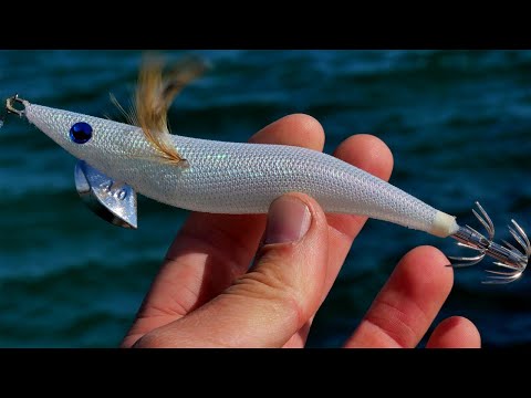 This LURE Catches BIG SQUID!