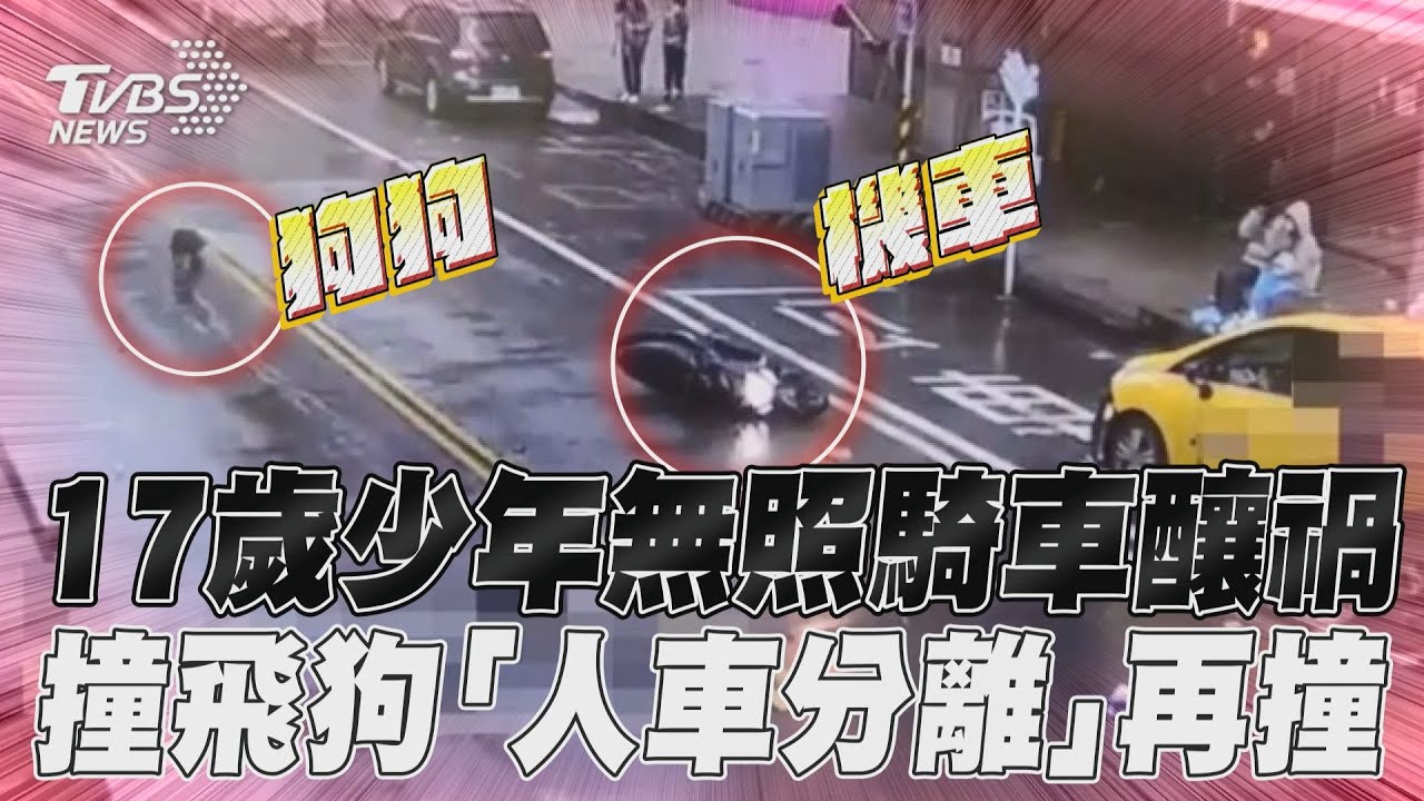 影音/17歲少年無照騎車釀禍! 撞飛狗「人車分離」再撞