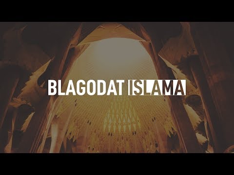 BLAGODAT ISLAMA! - hfz. Abu Taubah ᴴᴰ┇Tvoj podsjetnik
