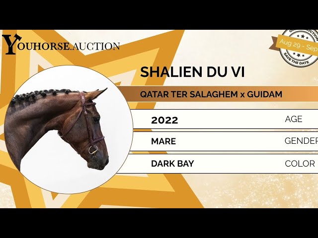 Shalien du Vi