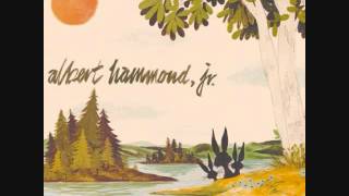Albert Hammond Jr. - Holiday