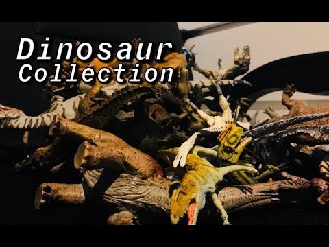 My Dinosaur Collection